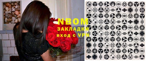 стаф Нея