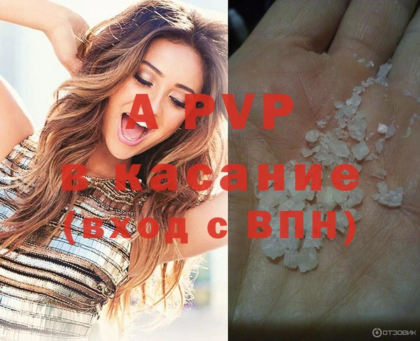 стаф Нея