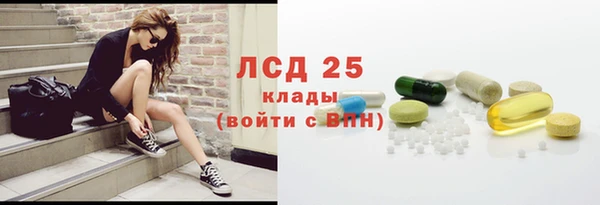 стаф Нея
