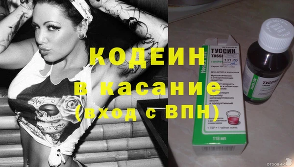стаф Нея
